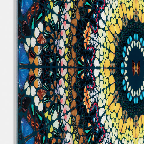 "Psychedelic - Kaleidoscopic H18-3" by Damien Hirst - Mind The Gap Label