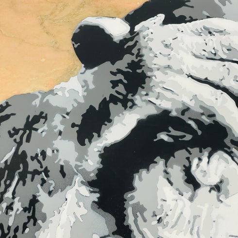 "Marble Palyboy" by SINAO - Mind The Gap Label